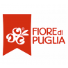 Fiore di Puglia